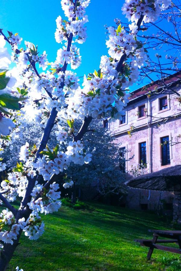 Arte Y Natura Valdivielso Quintana de Valdivielso Екстер'єр фото